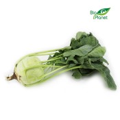 Kalarepa Świeża Polska BIO (około 0,12 kg) Bio Planet