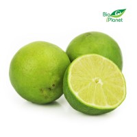 Limonki Świeże BIO (około 0,25 kg) Bio Planet
