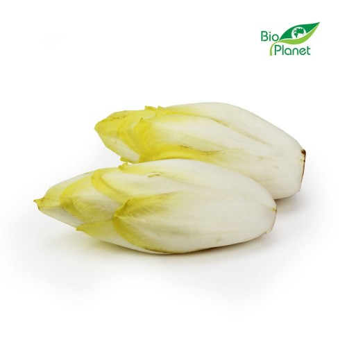 Cykoria Świeża BIO ok. 0,5 kg Bio Planet