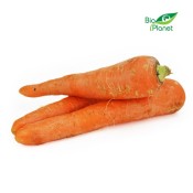 Marchew Młoda Świeża BIO ok. 1 kg Bio Planet