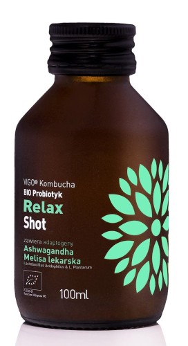 Shot Kombucha Relax Bezglutenowy BIO 100 ml Vigo