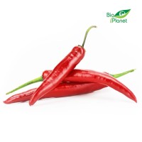 Papryka Ostra Świeża BIO 0,10 kg