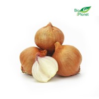 Cebula Szalotka Świeża BIO ok. 0,25 kg Bio Planet