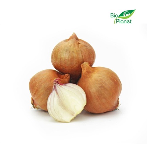 Cebula Szalotka Świeża BIO ok. 0,25 kg Bio Planet