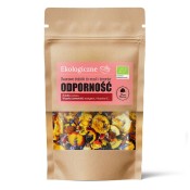 Owoce Dodatki do Musli i Deserów Odporność BIO 20 g Dary Natury