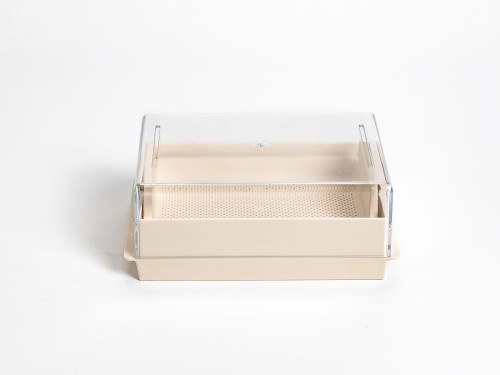 Naczynie do Kiełkowania Prostokątne - Urbalive