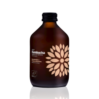 Kombucha z Brzoskwinią i Trawą Cytrynową Bezglutenowa BIO 330 ml Vigo