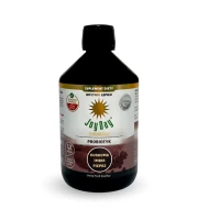 Koncentrat Napoju Probiotycznego Kurkuma Imbir Pieprz BIO 500 ml Joy Day