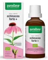 Echinacea Forte Jeżówka Purpurowa Krople BIO 50 ml Purasana