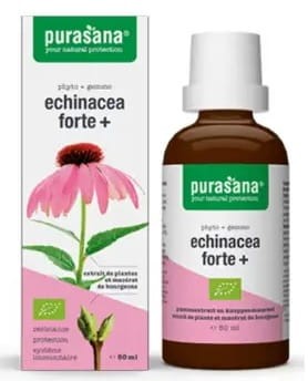 Echinacea Forte Jeżówka Purpurowa Krople BIO 50 ml Purasana