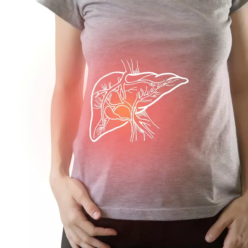 wątroba u człowieka